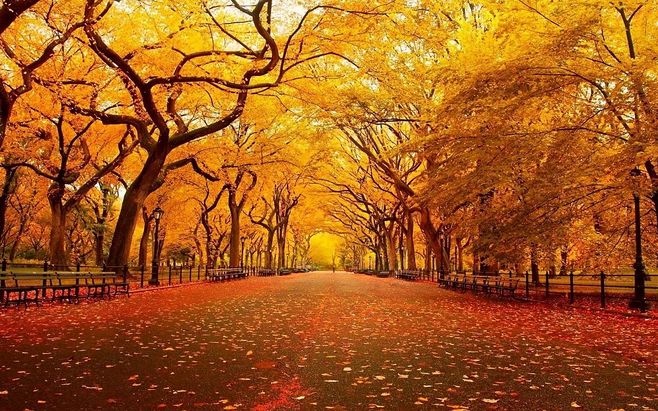 美丽的诗歌句子2