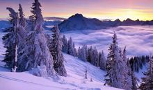 陪你过冬的暖心句子