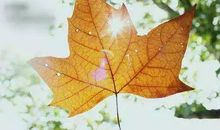 关于爱情心碎的句子