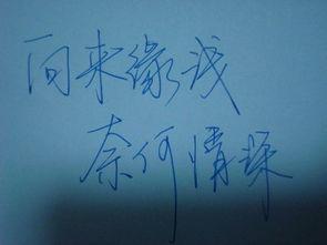 友好的句子给其他句子或心情2