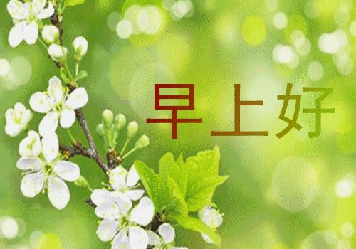 早上温暖的问候短信