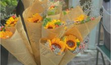 那些工作后明白的道理