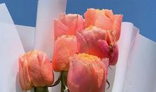 治愈系的干净短句