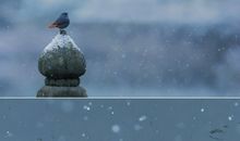 适合冬天的文案句子