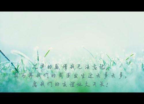 友好并不重要句子1