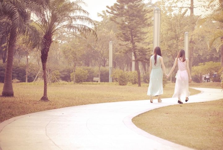 友好来到判决的开始