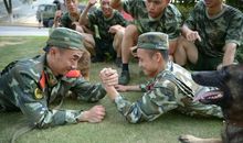 老山战友情经典句子