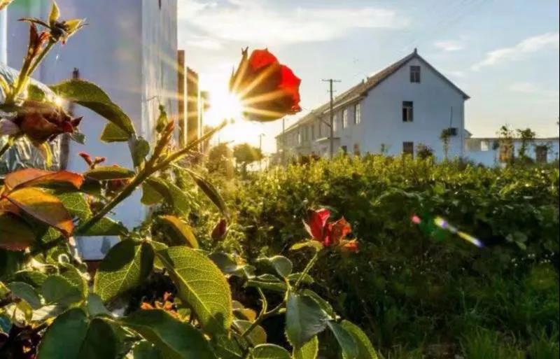 10.一个人的生活质量不需要堆栈的钱，并且与地位无关。这是你生命的问题。只有你没有它，你只能将一天进入诗歌。