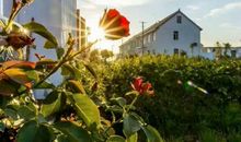 早安心语阳光唯美的经典语录