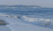 爱分享的文案大全