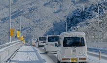 羡慕友情的句子大全