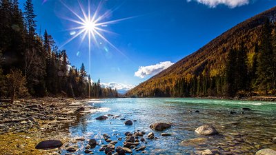 关于友谊的判决