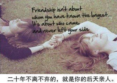 关于友谊的判决