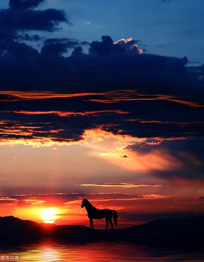 人类的心脏太虚伪的句子友谊句