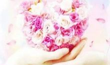 网络最火精辟句子