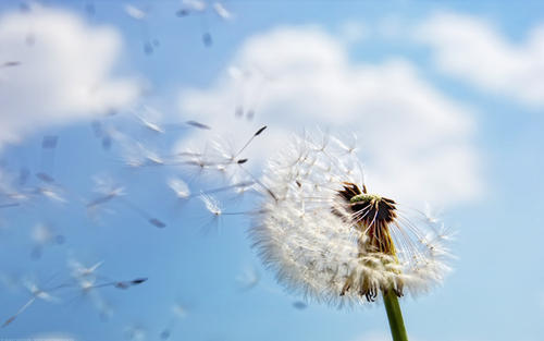 向问候的领导致辞