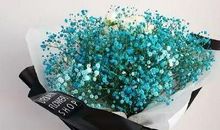 年会祝福语大全简短