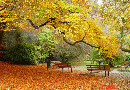 秋季问候短信，原来的朋友1