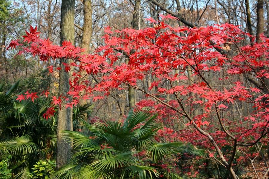 天气改变问候客户SMS 2