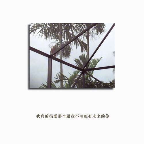 15.一个人的趋势，一个人的寂寞，一个人的精彩。环球展示，没有华丽的舞台，抒情的观众;找不到正确的对手，不要做完美的白色，妄想用爱来弥补一切。