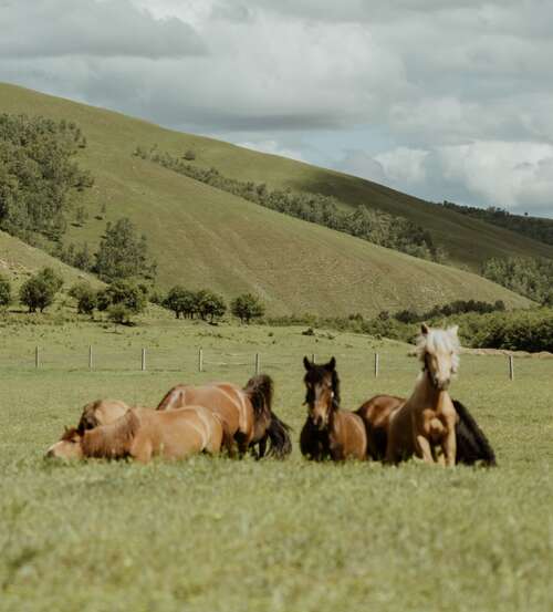 描述人们乐意爆炸