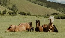 形容人开心到爆的句子