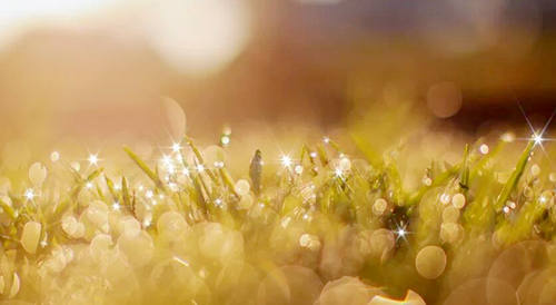 SMS图片大全的问候