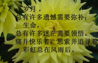 在春天的早晨,谈论情绪短语