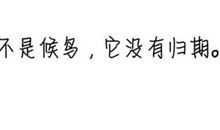 十五年等待候鸟经典语录