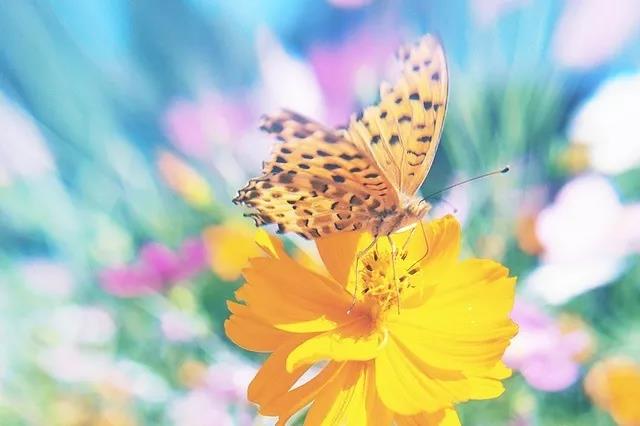 特别温暖的早安句子1