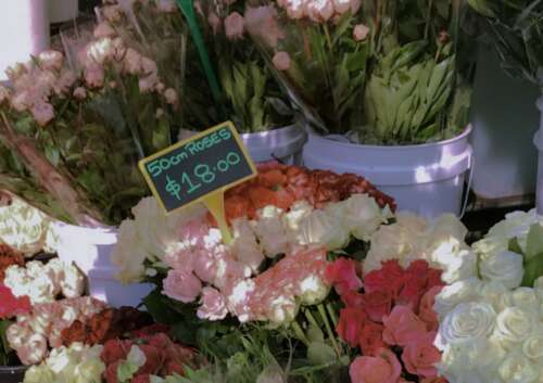 激励积极的能量判决1