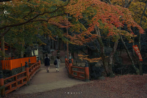 15.你抓住你的鸡脚,指向我,我不知道,我不知道我是否不喜欢罩子的味道。