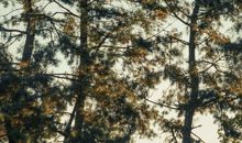 单身乐趣的开心句子