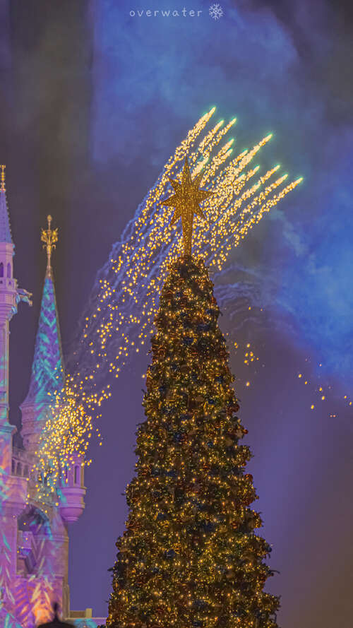 15.不能使用鱼和熊的爪子,但急性儿子和扶手在我身上是完美的。