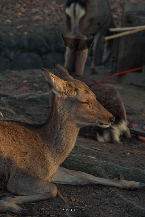 10，另一年生日，老一岁，谢谢你的祝福，我18岁，确定某些和肯定，哇哈哈哈