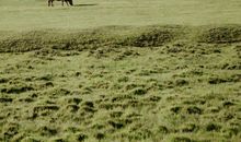 分手后假装开心的句子