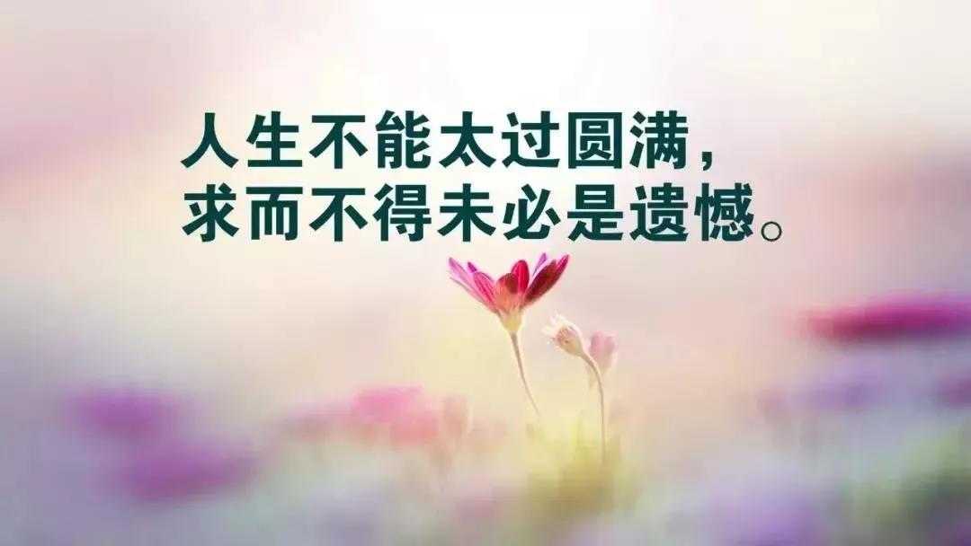 15，思考太多会破坏你。如果有任何东西，这是最好的报复。为什么烦恼证明任何东西，生活更好，它适合自己。