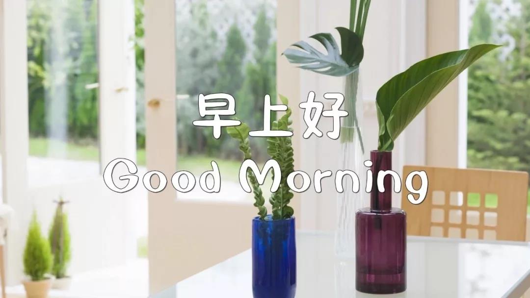 15.一个人的成长是一个炎热的过程，你必须有一层皮肤来拥有新的生活，这个过程往往伴随着各种痛苦。早上好！