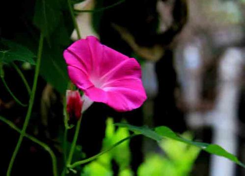 14，轻轻地写一份纸问候，秋天吹来;微弱的，落叶，被霜冻的红色;悄悄地，祝福祝福，注意听：周末，我希望你驾驶疲劳，感觉良好。