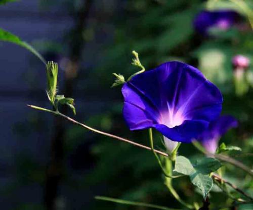 最好的问候始于短信