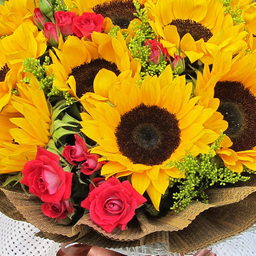 15，天隆天然气，光滑，周一抵达云层。愉快的工作，快乐，快乐。