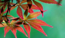 五一节后客户问候短信