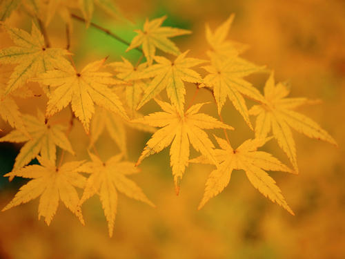 5月1日之后，客户迎接短信