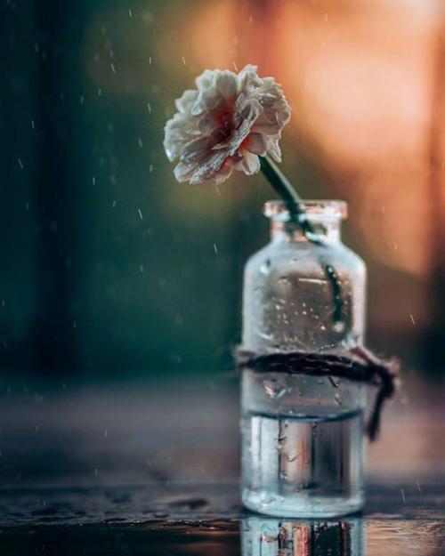 销售雨天气问候SMS 1