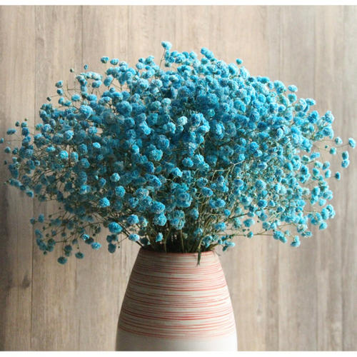 简单的客户问候SMS 1