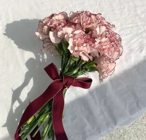 温和可爱的句子