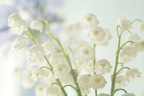 为客户提供简单的问候消息1