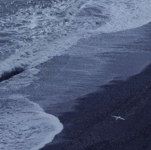 当你感到难过，你可以派一群朋友。 1