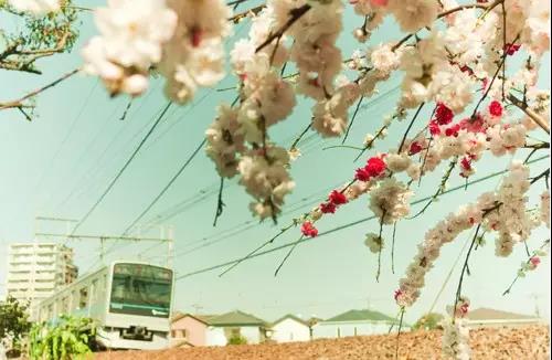 对自己的美丽句子1