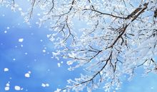 下雪心烦的句子